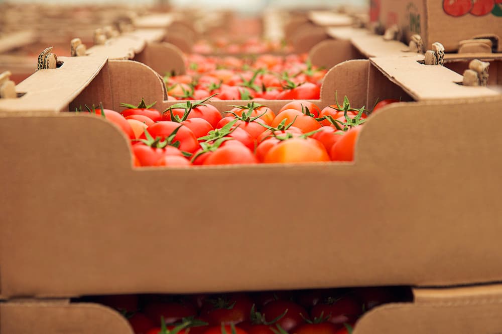 Industrial cold storage refrigeration warehouse facility